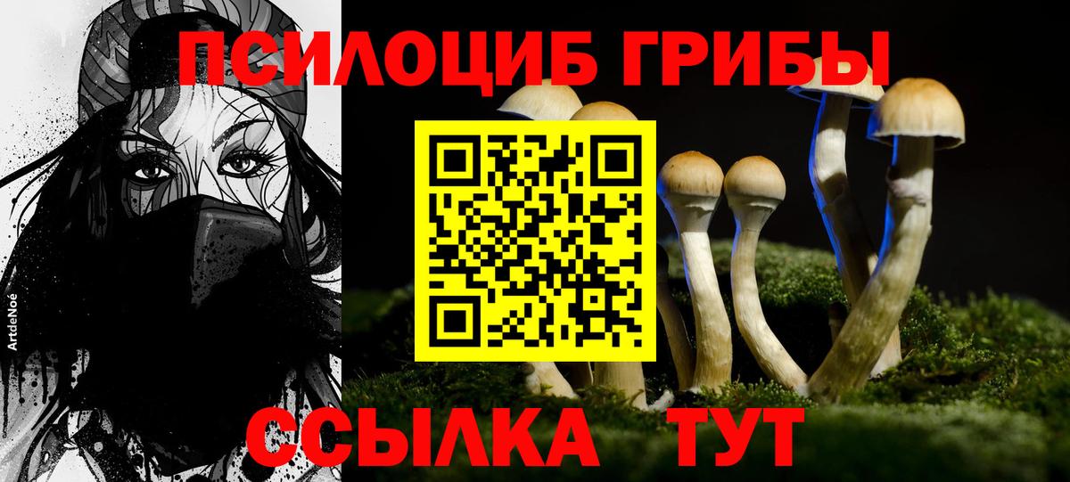 Красноуфимск  наркота  Вход с VPN  Псилоцибиновые грибы Psilocybe 